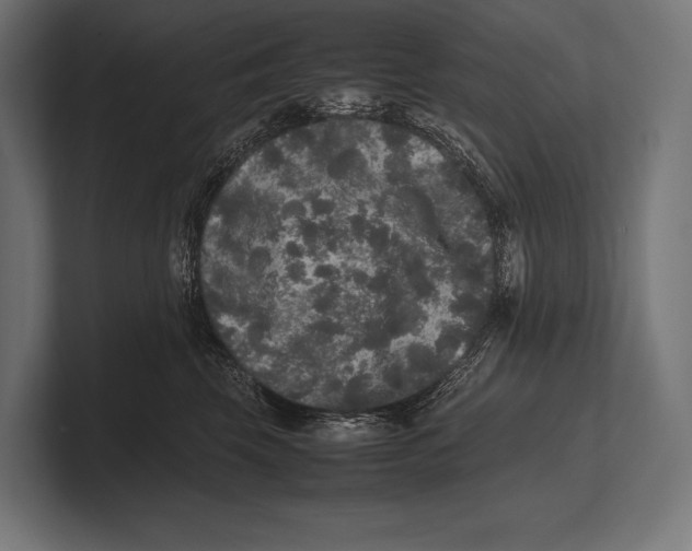 X0000100230569200806201446