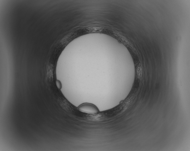 X0000100230570200806201446