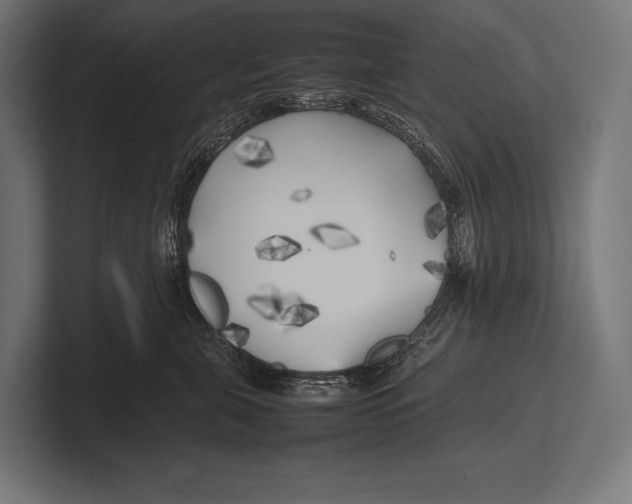 X0000100230571200806201446