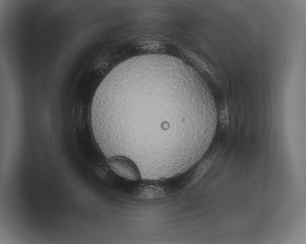 X0000100230572200806201446