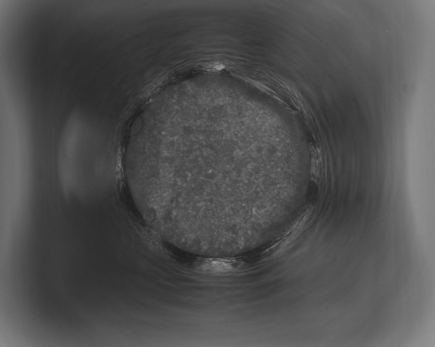 X0000100230573200806201446