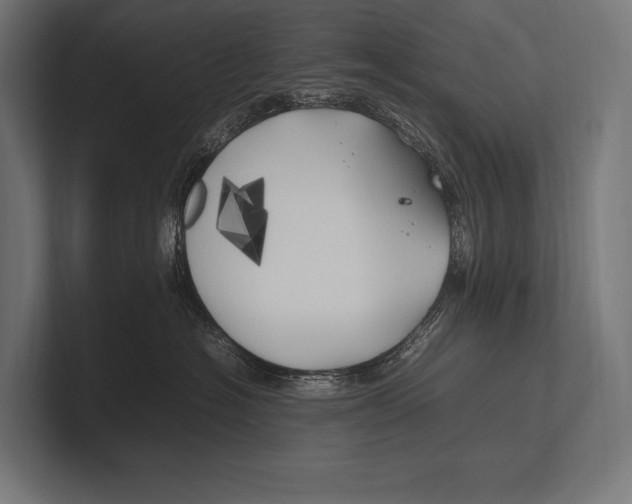 X0000100230574200806201446