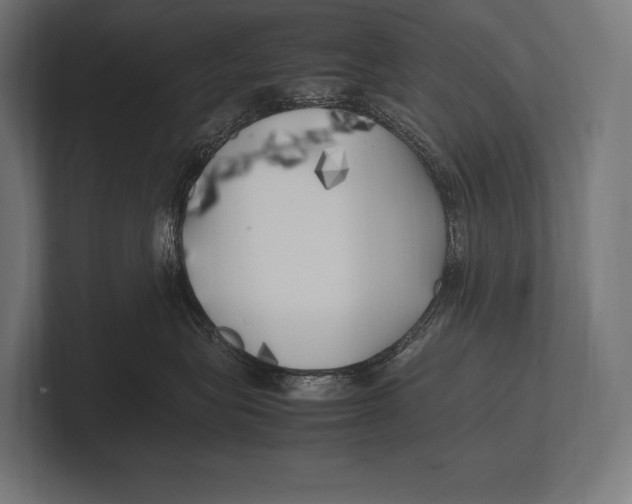 X0000100230575200806201446