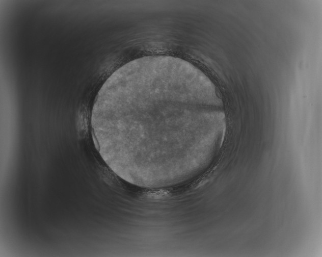 X0000100230576200806201446