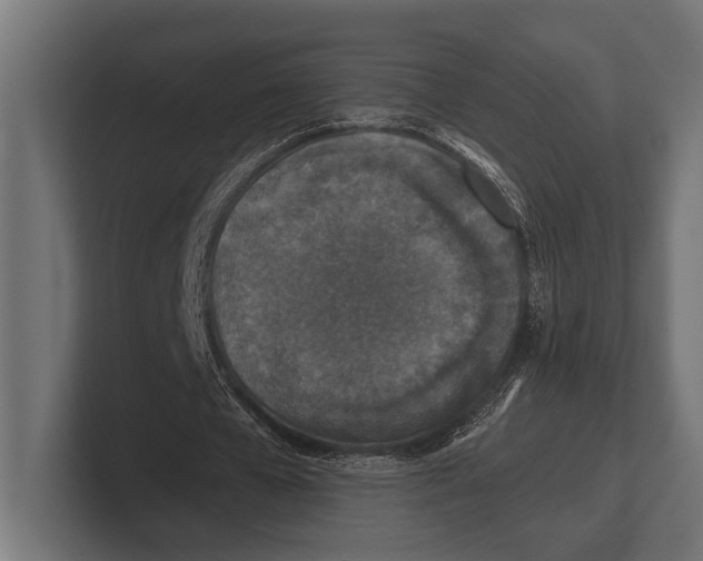 X0000100230577200806201446