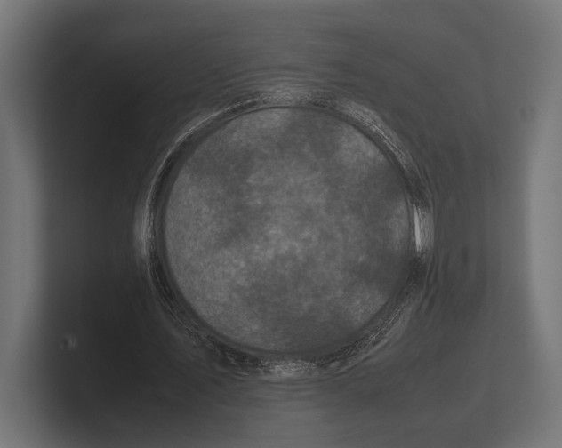 X0000100230579200806201446