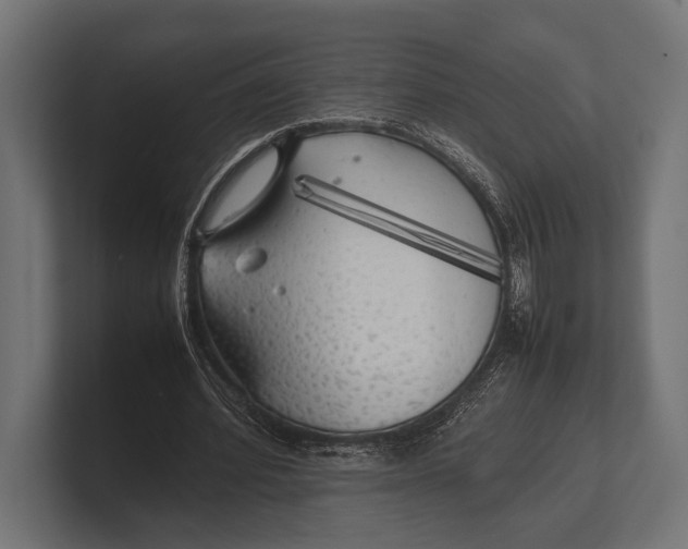 X0000100230580200806201446