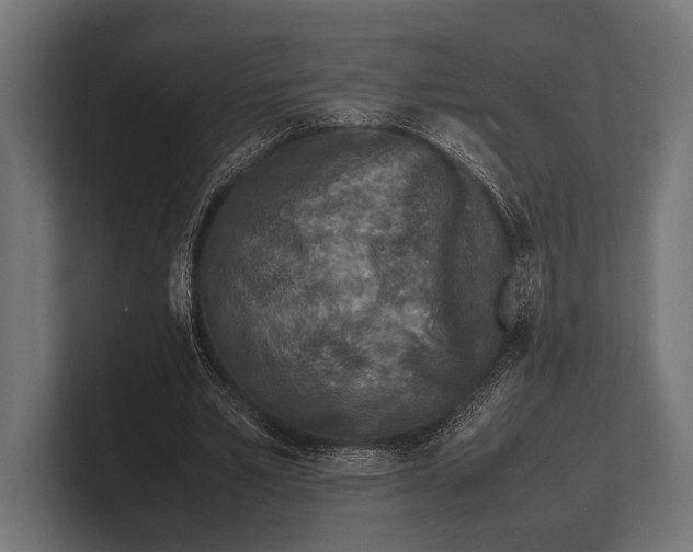 X0000100230581200806201446