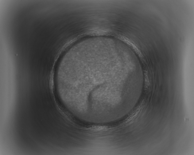 X0000100230582200806201446