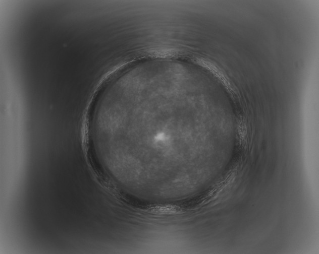 X0000100230583200806201446