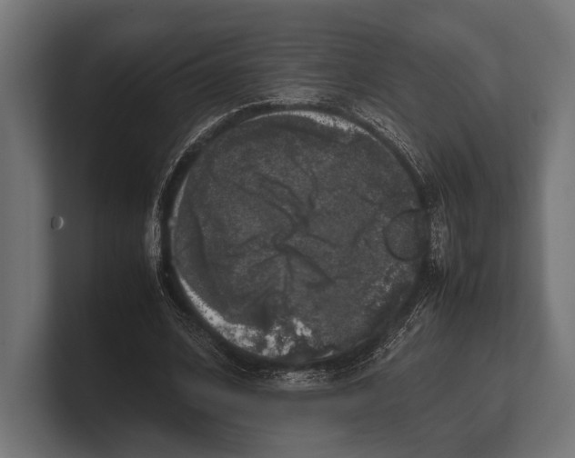 X0000100230584200806201446