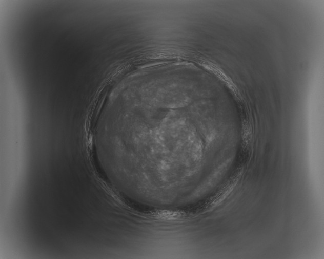 X0000100230585200806201446