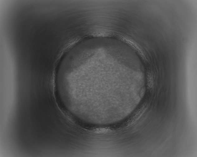 X0000100230586200806201445