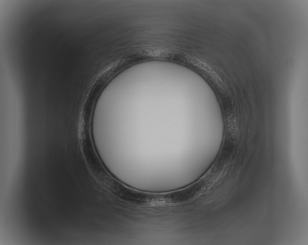 X0000100230587200806201445