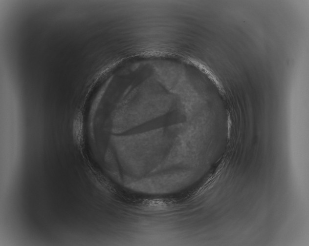 X0000100230588200806201445