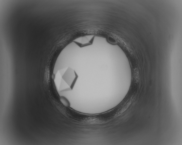 X0000100230589200806201445