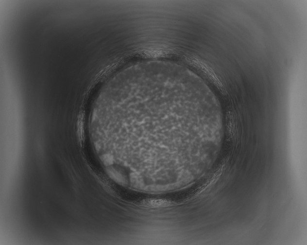 X0000100230590200806201445