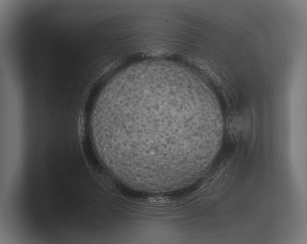 X0000100230591200806201445