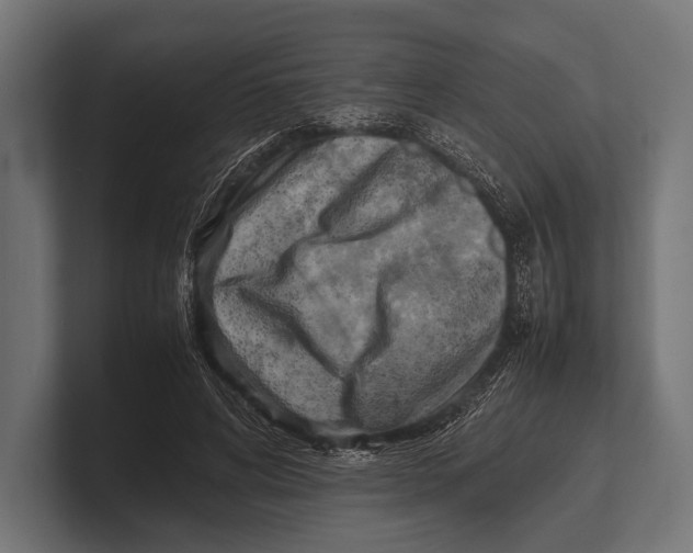 X0000100230592200806201445