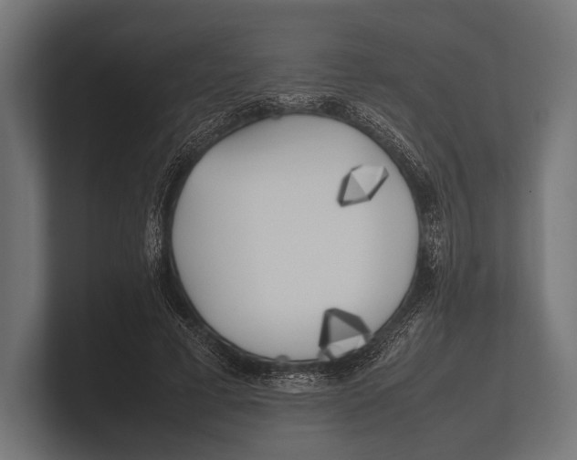 X0000100230593200806201445