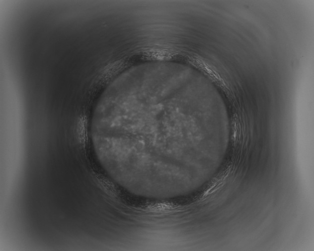 X0000100230594200806201445