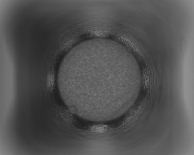 X0000100230595200806201445