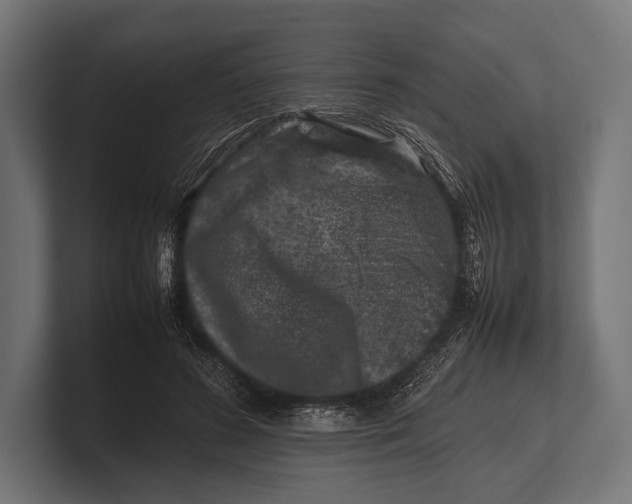 X0000100230596200806201445