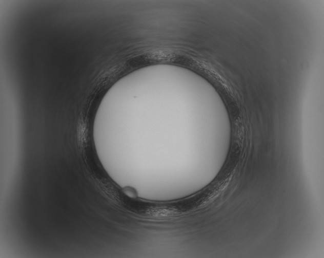 X0000100230597200806201445