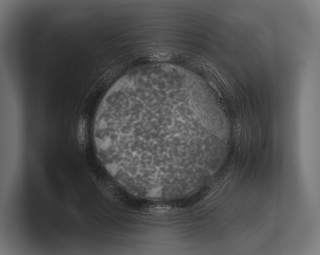 X0000100230598200806201445