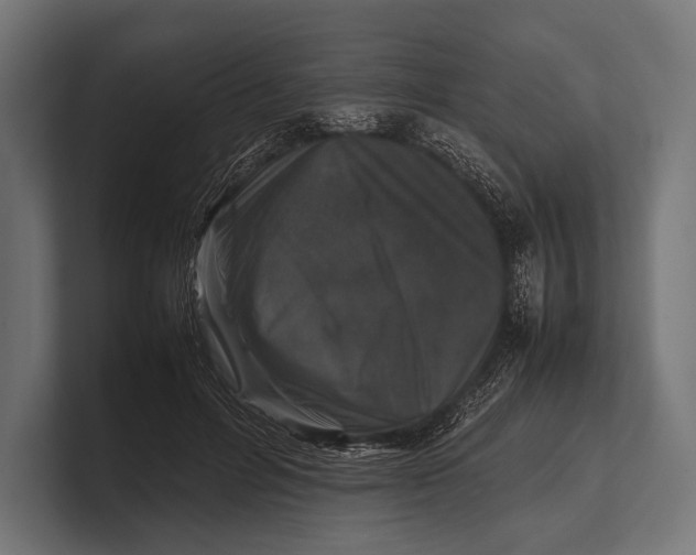 X0000100230600200806201445