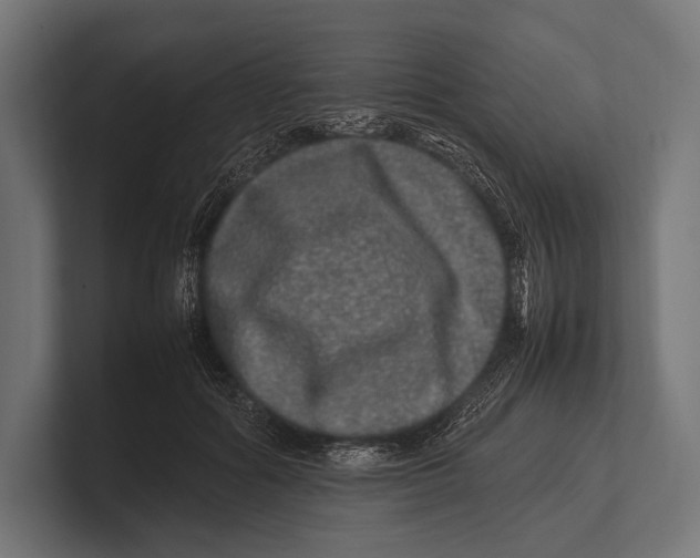 X0000100230602200806201445