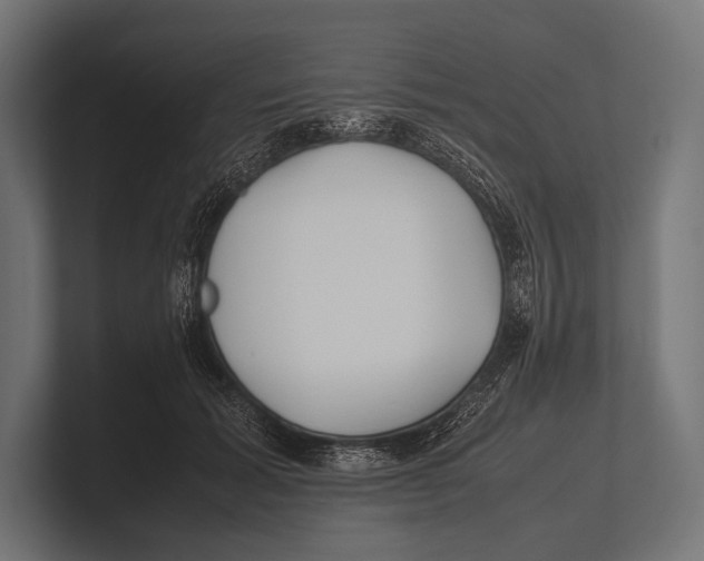 X0000100230605200806201445