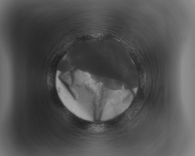 X0000100230606200806201445