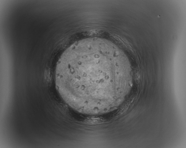 X0000100230607200806201445