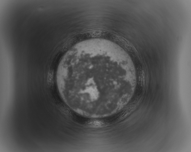 X0000100230610200806201445