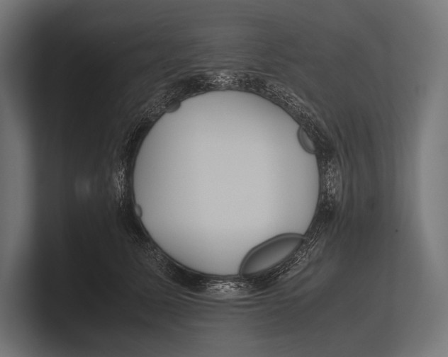 X0000100230611200806201445