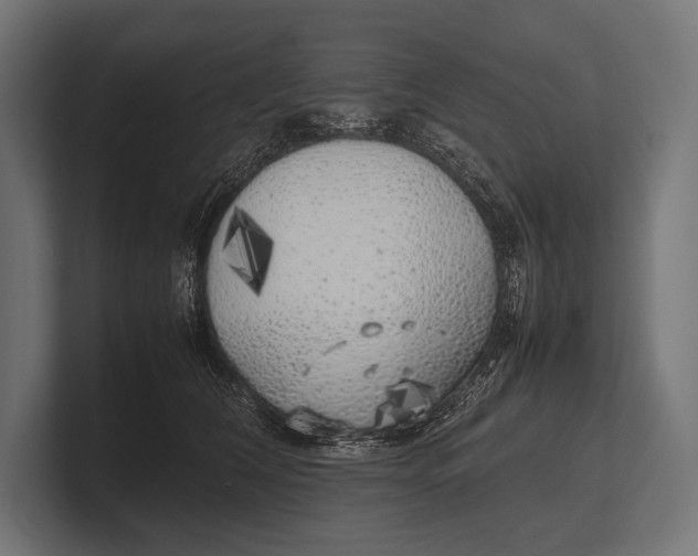 X0000100230612200806201445