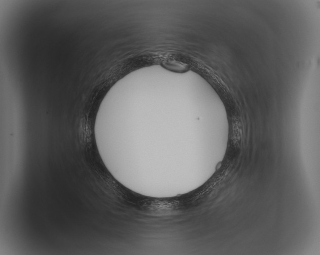 X0000100230613200806201445