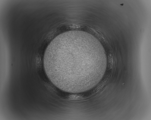 X0000100230614200806201445