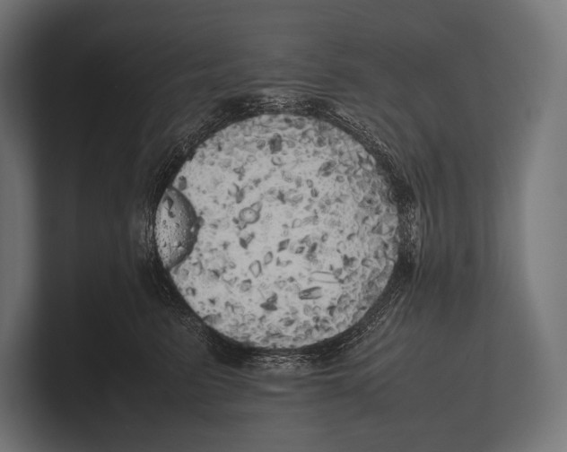 X0000100230615200806201445