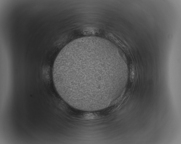 X0000100230616200806201445