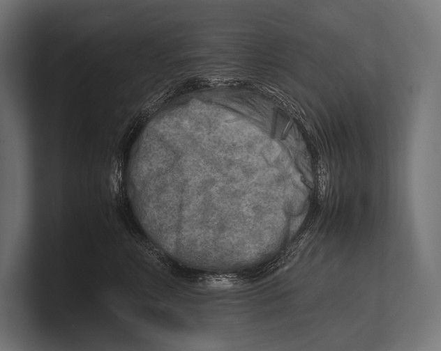 X0000100230618200806201445