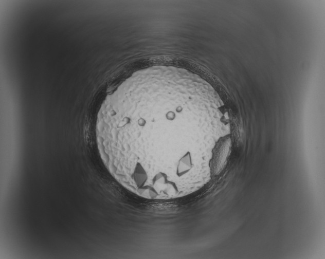 X0000100230619200806201445