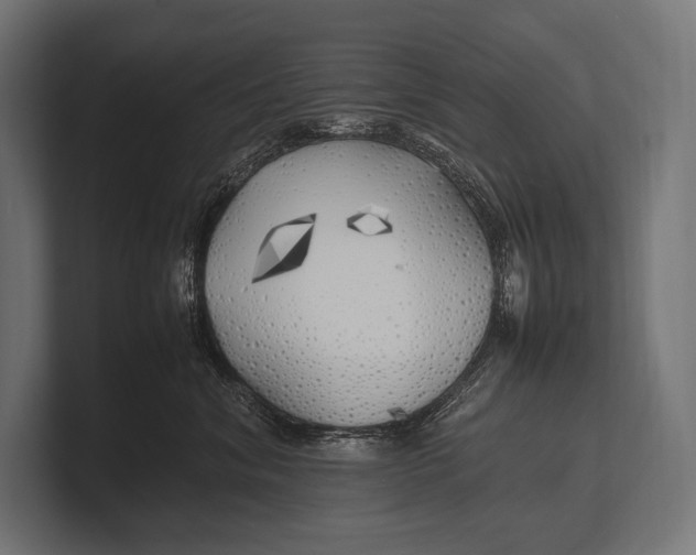 X0000100230620200806201445