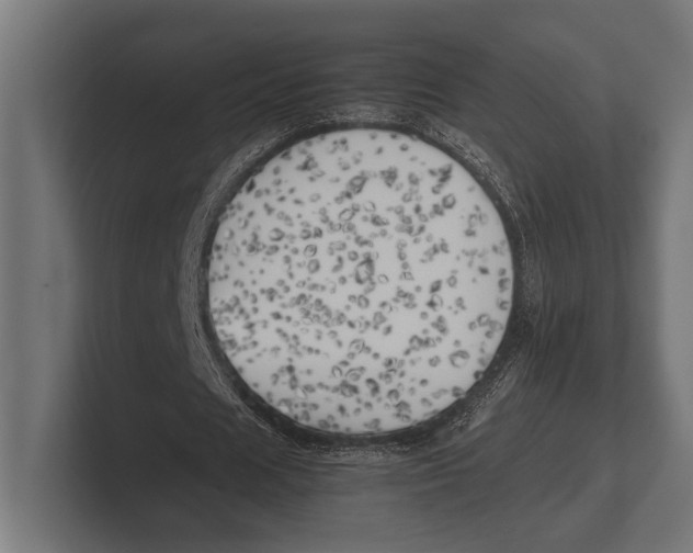 X0000100230625200806201444