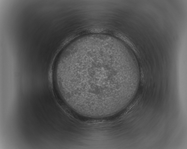 X0000100230626200806201444