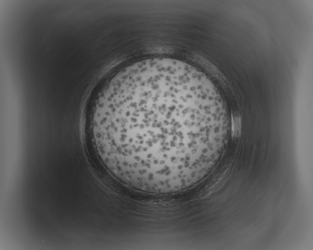 X0000100230627200806201444