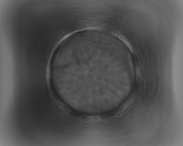 X0000100230628200806201444