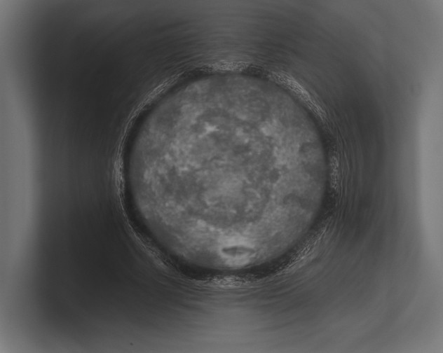 X0000100230634200806201444