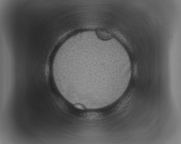 X0000100230636200806201444